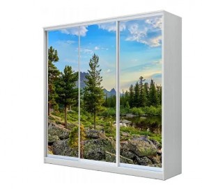 Шкаф-купе ХИТ 23-18-777 (620) в Глазове - glazov.mebel24.online | фото