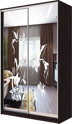 Шкаф-купе ХИТ 23-4-12/2-66 КОЛИБРИ в Глазове - glazov.mebel24.online | фото