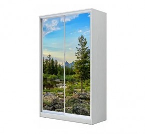 Шкаф-купе ХИТ 24-12/2-77 (620) в Глазове - glazov.mebel24.online | фото
