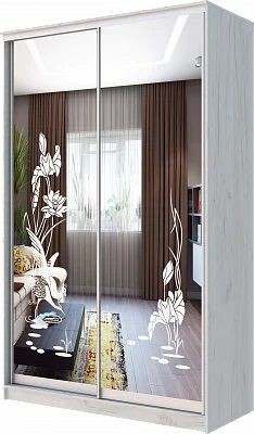 Шкаф-купе ХИТ 24-14-66 ЦАПЛИ в Глазове - glazov.mebel24.online | фото