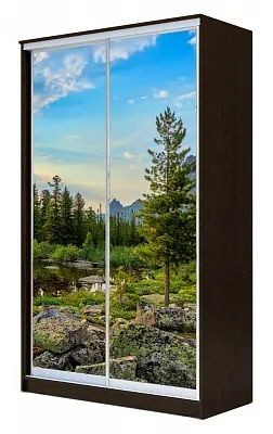 Шкаф-купе ХИТ 24-14-77 ПРИРОДА в Глазове - glazov.mebel24.online | фото