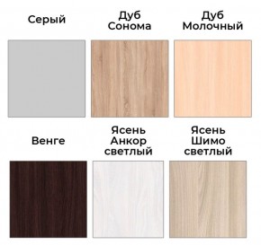Шкаф-купе ХИТ 24-20/2-666 (620) в Глазове - glazov.mebel24.online | фото 3