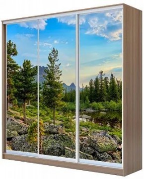 Шкаф-купе ХИТ 24-20/2-777 ПРИРОДА в Глазове - glazov.mebel24.online | фото