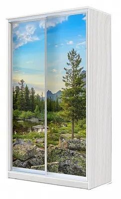 Шкаф-купе ХИТ 24-4-15-77 ПРИРОДА в Глазове - glazov.mebel24.online | фото