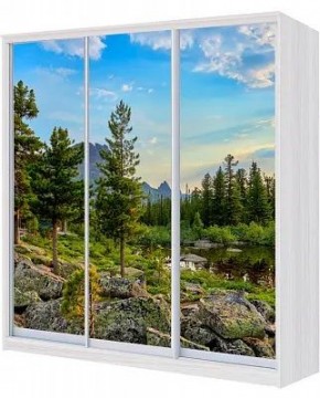 Шкаф-купе ХИТ 24-4-18-777 ПРИРОДА в Глазове - glazov.mebel24.online | фото