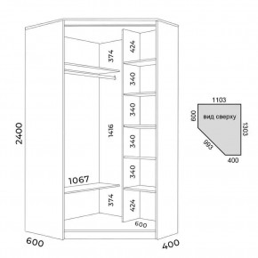 Шкаф-купе ХИТ-У-L-24-64-55 в Глазове - glazov.mebel24.online | фото 3