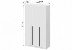 Шкаф платяной Бирма ШК-1200 в Глазове - glazov.mebel24.online | фото 4