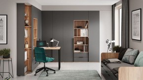 Шкаф платяной Порто СМ-393.07.223 в Глазове - glazov.mebel24.online | фото 9