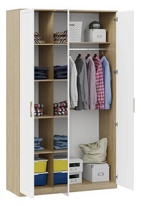 Шкаф платяной Сэнди в Глазове - glazov.mebel24.online | фото 3