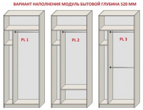 Шкаф распашной серия «ЗЕВС» (PL3/С1/PL2) Серый камень/Небраска натуральный в Глазове - glazov.mebel24.online | фото 5