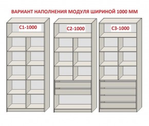Шкаф распашной серия «ЗЕВС» (PL3/С1/PL2) Серый камень/Небраска натуральный в Глазове - glazov.mebel24.online | фото 7