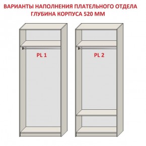 Шкаф распашной серия «ЗЕВС» (PL3/С1/PL2) Серый камень/Небраска натуральный в Глазове - glazov.mebel24.online | фото 9