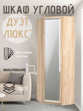 Шкаф угловой Дуэт Люкс с зеркалом в Глазове - glazov.mebel24.online | фото 1