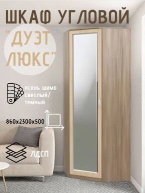 Шкаф угловой Дуэт Люкс с зеркалом в Глазове - glazov.mebel24.online | фото 3