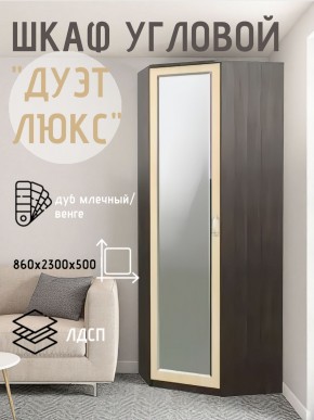 Шкаф угловой Дуэт Люкс с зеркалом в Глазове - glazov.mebel24.online | фото 5