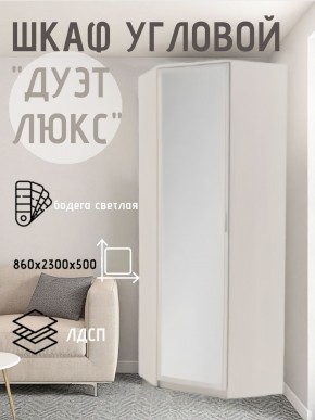 Шкаф угловой Дуэт Люкс с зеркалом в Глазове - glazov.mebel24.online | фото 6