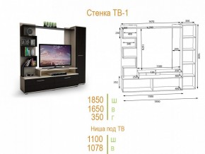 Стенка для гостиной ТВ-1 в Глазове - glazov.mebel24.online | фото 2