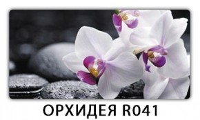Стол раздвижной-бабочка Трилогия с фотопечатью Доска D112 в Глазове - glazov.mebel24.online | фото 20