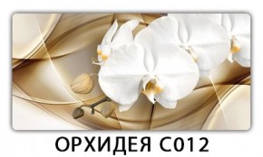 Стол раздвижной Трилогия с фотопечатью Доска D113 в Глазове - glazov.mebel24.online | фото 13