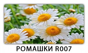 Стол раздвижной Трилогия с фотопечатью Доска D113 в Глазове - glazov.mebel24.online | фото 15