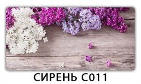 Стол раздвижной Трилогия с фотопечатью Доска D113 в Глазове - glazov.mebel24.online | фото 16