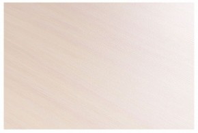 Стол-трансформер Престиж в Глазове - glazov.mebel24.online | фото 8