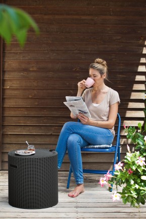 Столик-холодильник Кул-Стул (Cool stool) коричневый в Глазове - glazov.mebel24.online | фото 2