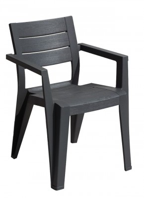 Стул Джули (Julie dining chair) графит в Глазове - glazov.mebel24.online | фото