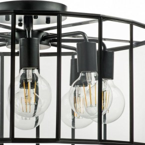 Светильник на штанге Lightstar Genni 798287 в Глазове - glazov.mebel24.online | фото 4