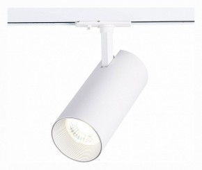Светильник на штанге ST-Luce Mono ST350.536.30.36 в Глазове - glazov.mebel24.online | фото 2