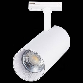 Светильник на штанге ST-Luce Mono ST350.536.30.36 в Глазове - glazov.mebel24.online | фото 6