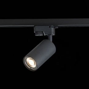 Светильник на штанге ST-Luce Solt ST300.406.01 в Глазове - glazov.mebel24.online | фото 6