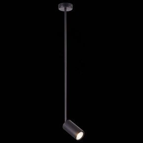 Светильник на штанге ST-Luce Sormano SL1206.403.01 в Глазове - glazov.mebel24.online | фото 3