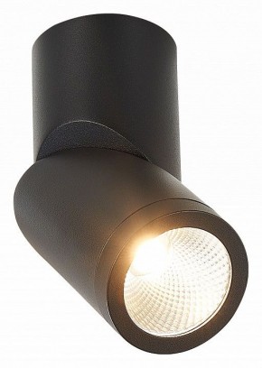 Светильник на штанге ST-Luce ST650 ST650.442.10 в Глазове - glazov.mebel24.online | фото 2