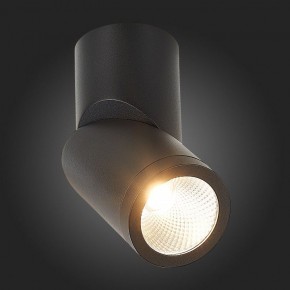 Светильник на штанге ST-Luce ST650 ST650.442.10 в Глазове - glazov.mebel24.online | фото 6