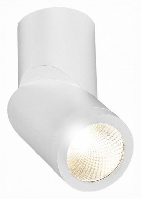 Светильник на штанге ST-Luce ST650 ST650.532.10 в Глазове - glazov.mebel24.online | фото 3