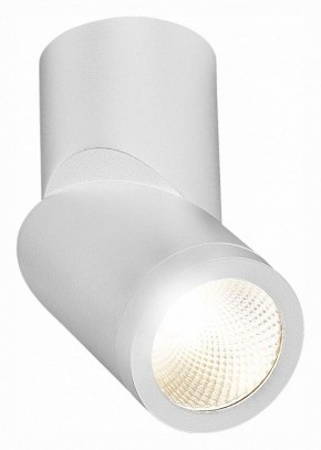 Светильник на штанге ST-Luce ST650 ST650.542.10 в Глазове - glazov.mebel24.online | фото 3