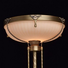 Торшер MW-Light Афродита 1 317040901 в Глазове - glazov.mebel24.online | фото 4