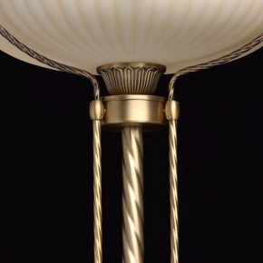 Торшер MW-Light Афродита 1 317040901 в Глазове - glazov.mebel24.online | фото 6