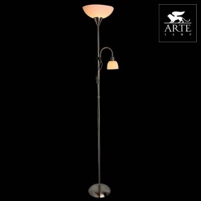 Торшер с подсветкой Arte Lamp Duetto A9569PN-2SS в Глазове - glazov.mebel24.online | фото 3