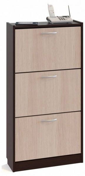 Тумба для обуви ТО-23 в Глазове - glazov.mebel24.online | фото