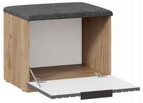 Тумбочка для обуви Хилтон Исп 2.1 в Глазове - glazov.mebel24.online | фото 2