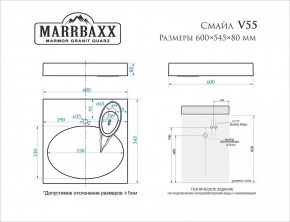 Умывальник над стиральной машиной (600*545*80) Смайл V55D1 (белый) с кронштейном без сифона (V55D1) в Глазове - glazov.mebel24.online | фото 2