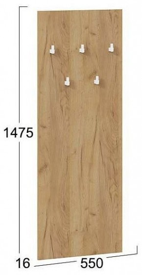 Вешалка настенная Хилтон Исп.2.1 в Глазове - glazov.mebel24.online | фото 4