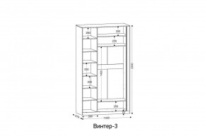 ВИНТЕР 3 Шкаф 3-х створчатый в Глазове - glazov.mebel24.online | фото 2