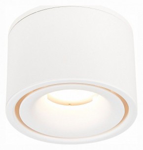 Встраиваемый светильник на штанге ST-Luce ST652 ST652.548.12 в Глазове - glazov.mebel24.online | фото 3